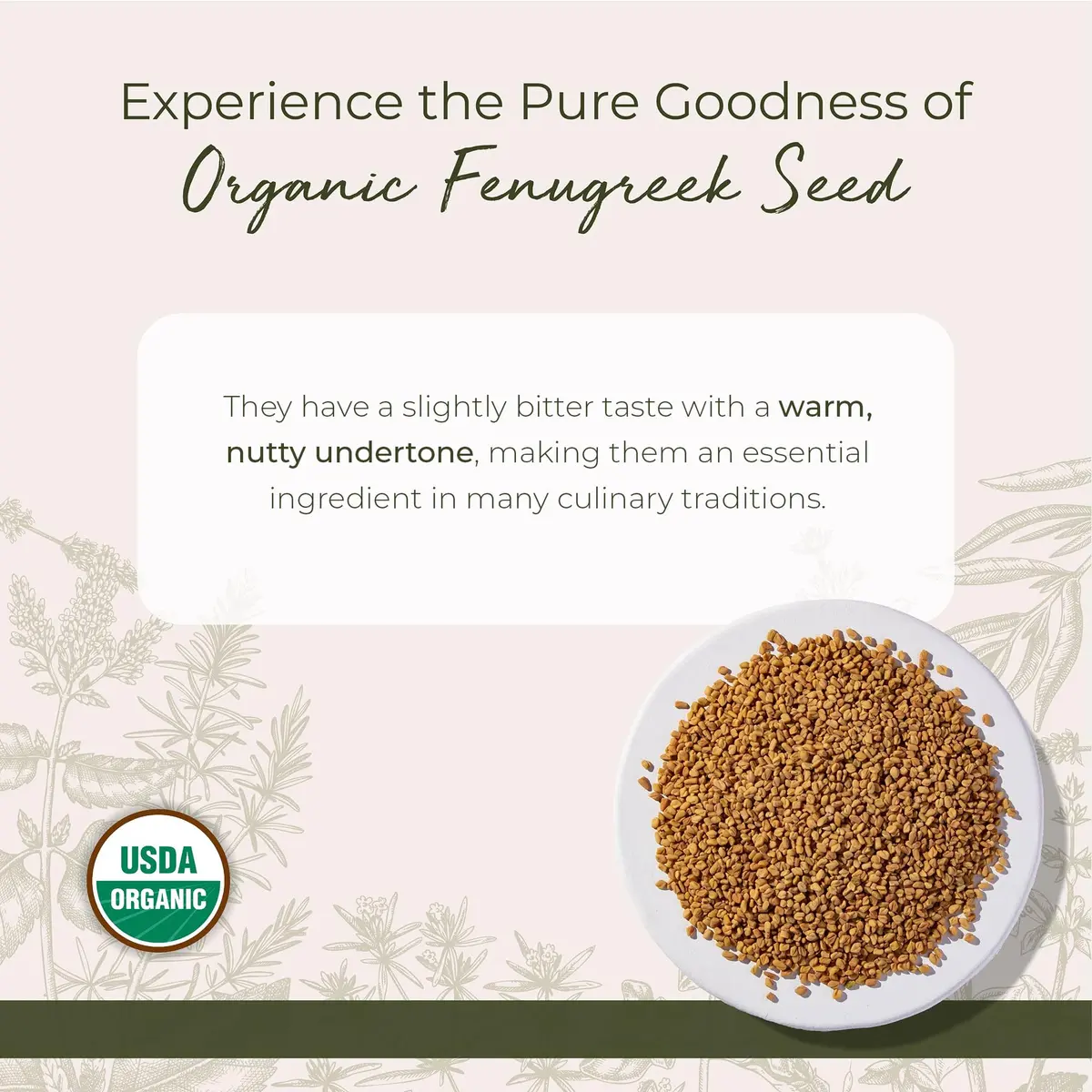 Starwest Botanicals Organic Whole Fenugreek Seeds 16 Ounce | Kosher & USDA Certified - view 2