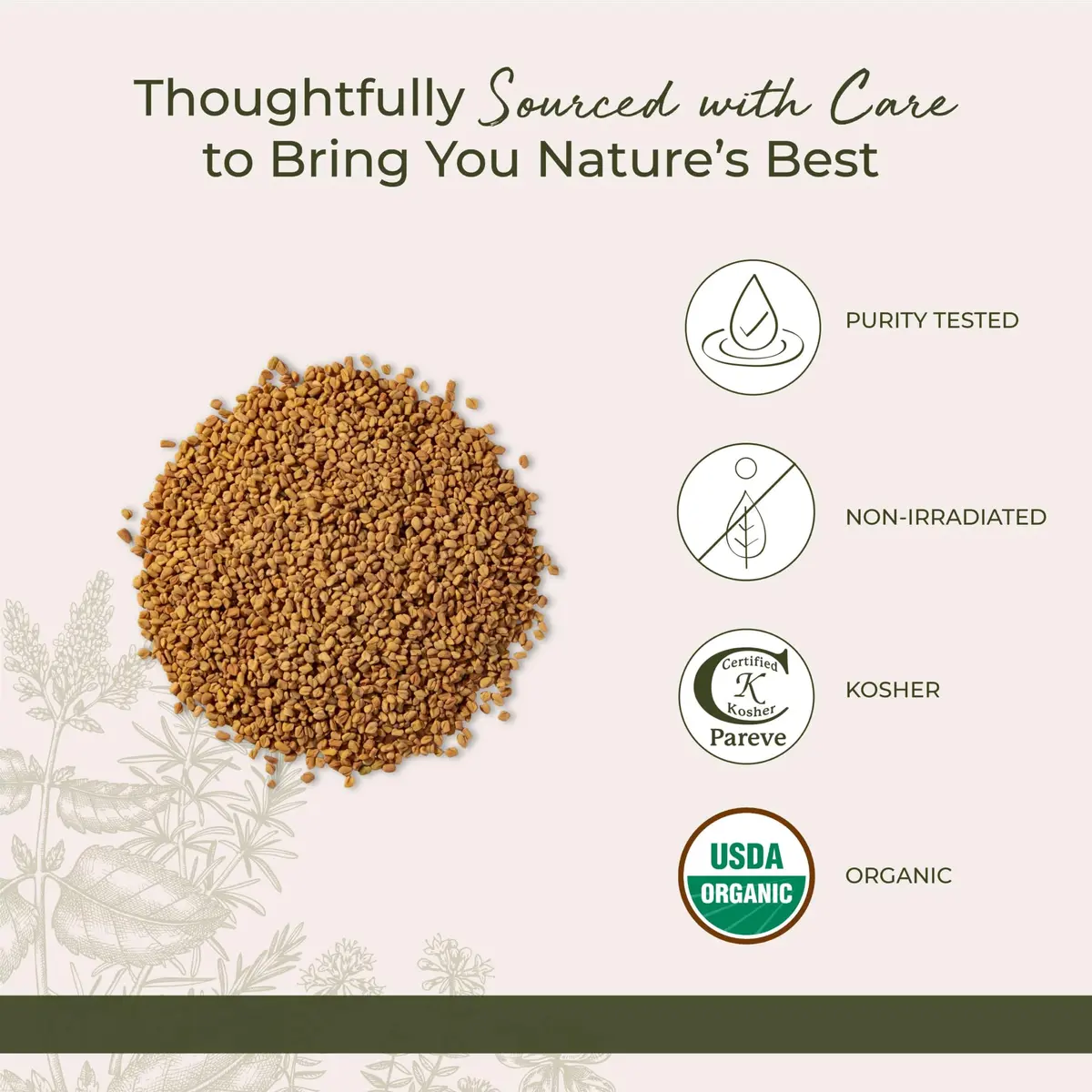 Starwest Botanicals Organic Whole Fenugreek Seeds 16 Ounce | Kosher & USDA Certified - view 4