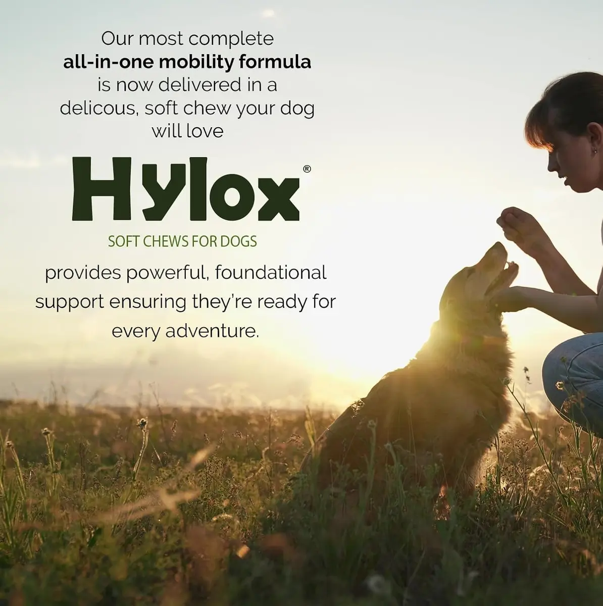 Hylox Soft Chews for Dogs – Joint Support with Glucosamine, MSM, Creatine, Hyaluronic Acid, Turmeric, EPA & DHA – Supports Joints & Cushions Connective Tissues – NASC Certified – 120 Soft Chews - view 8