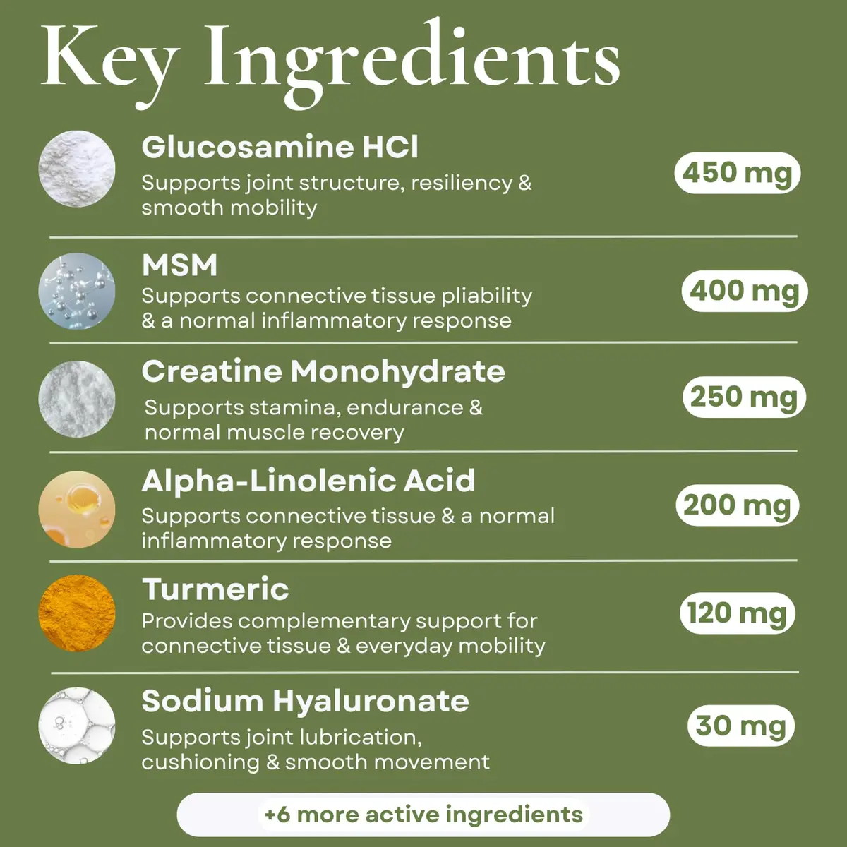 Hylox Soft Chews for Dogs – Joint Support with Glucosamine, MSM, Creatine, Hyaluronic Acid, Turmeric, EPA & DHA – Supports Joints & Cushions Connective Tissues – NASC Certified – 120 Soft Chews - view 3
