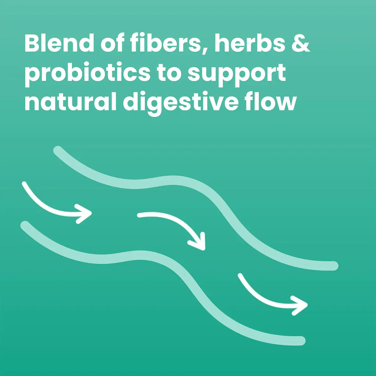 Sanar Naturals Colon Cleanse Psyllium Husk Fiber & Probiotics 90 Capsules | Digestive Wellness & Gut Balance - view 5