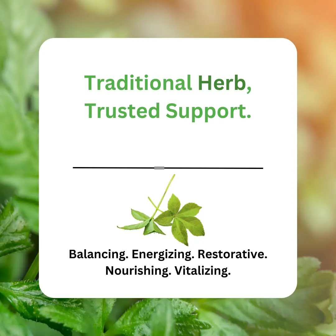 Paradise Herbs Jiaogulan Active Whole Spectrum 60 Caps | Adaptogenic Herb for Vitality & Longevity - view 5