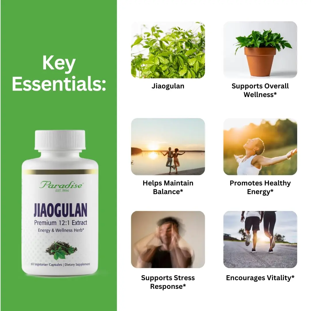 Paradise Herbs Jiaogulan Active Whole Spectrum 60 Caps | Adaptogenic Herb for Vitality & Longevity - view 2