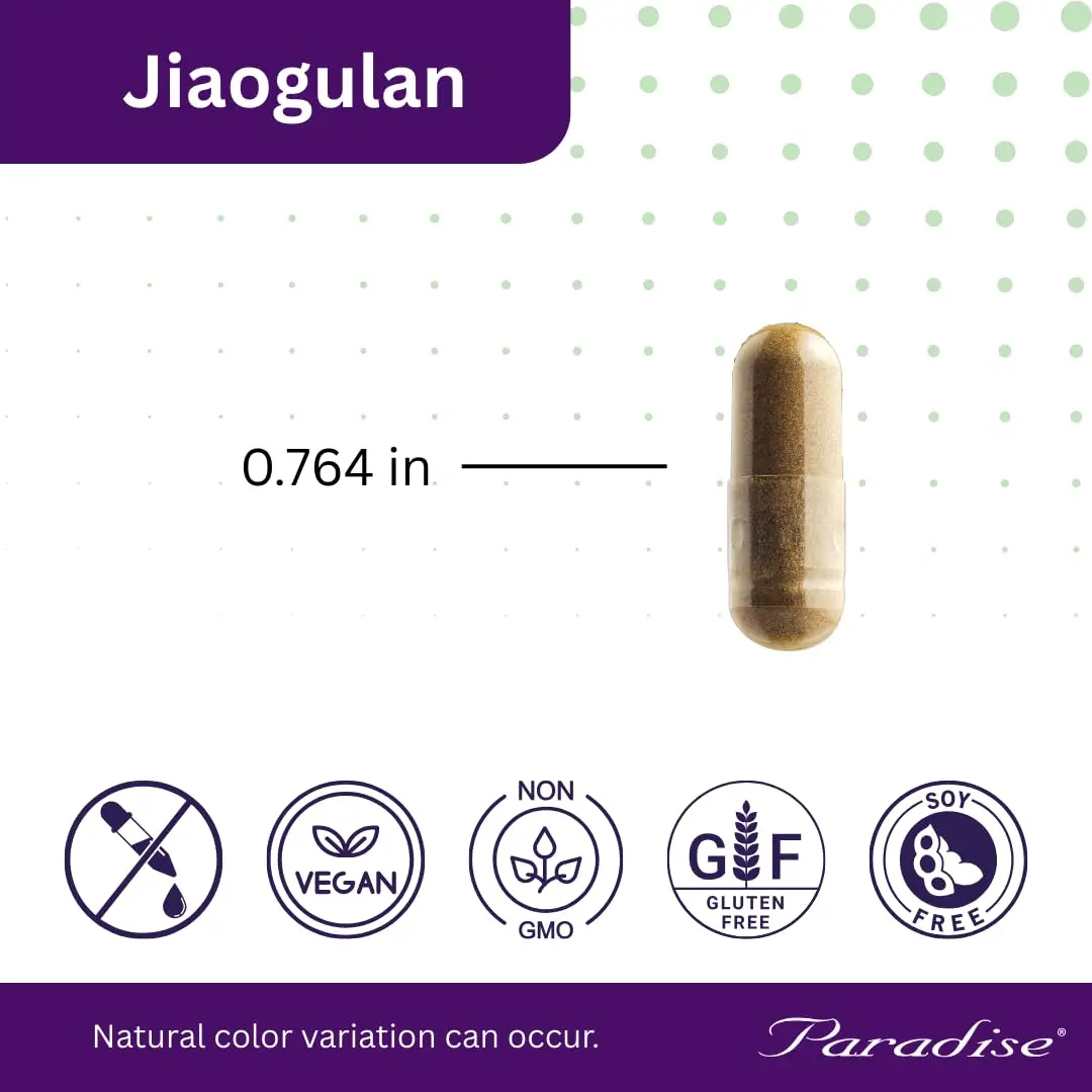 Paradise Herbs Jiaogulan Active Whole Spectrum 60 Caps | Adaptogenic Herb for Vitality & Longevity - view 3