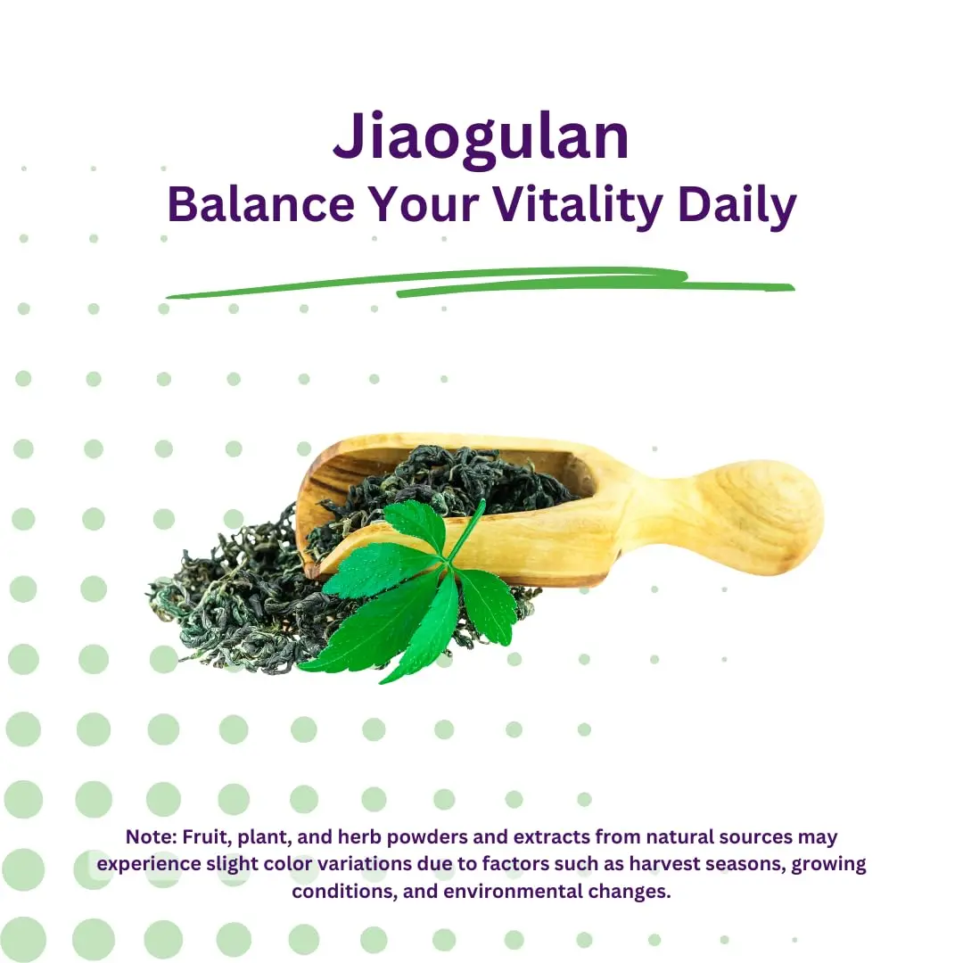 Paradise Herbs Jiaogulan Active Whole Spectrum 60 Caps | Adaptogenic Herb for Vitality & Longevity - view 4