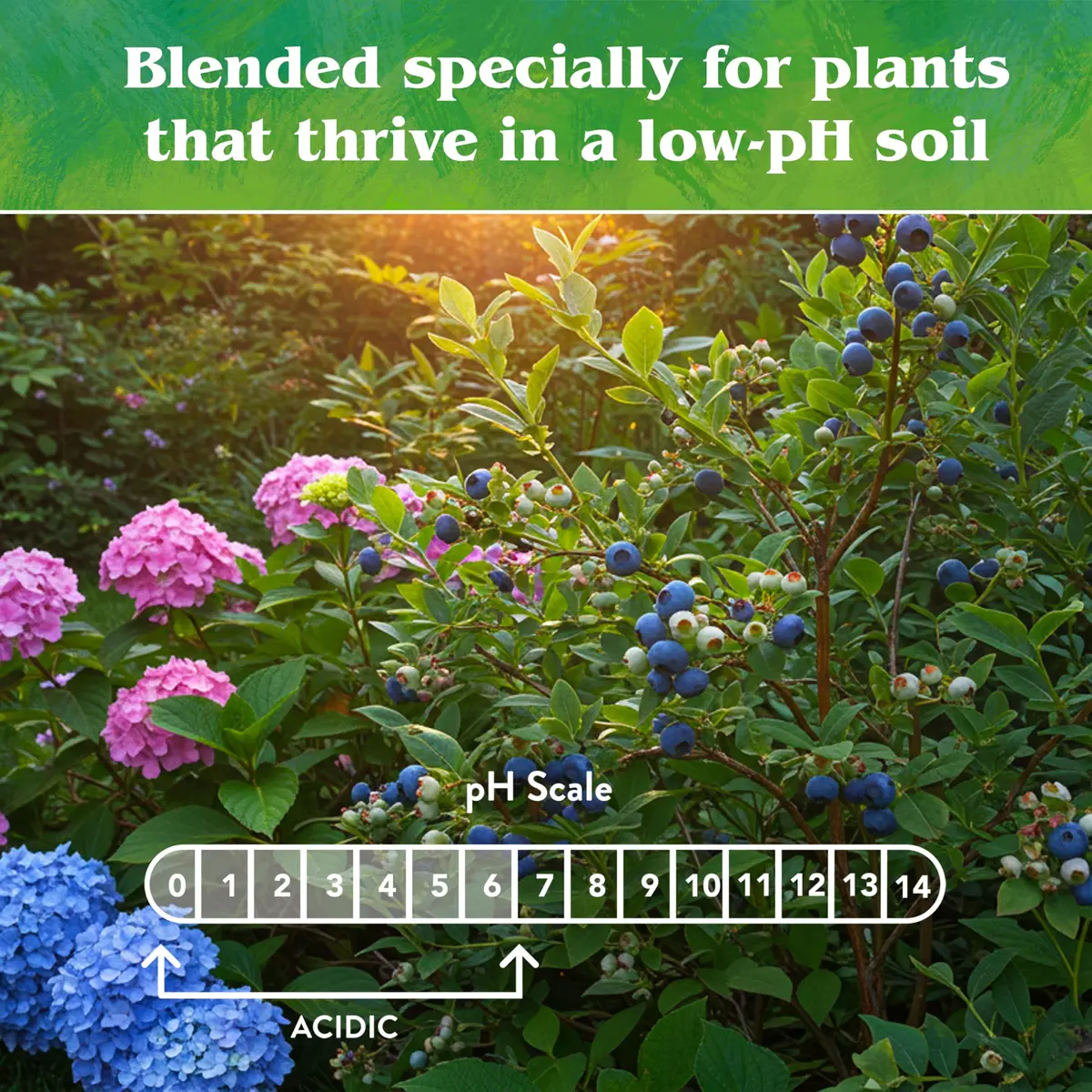 Down To Earth All Natural Fertilizers Organic Acid Mix 25 lb | Acid-Loving Plant Fertilizer - view 7