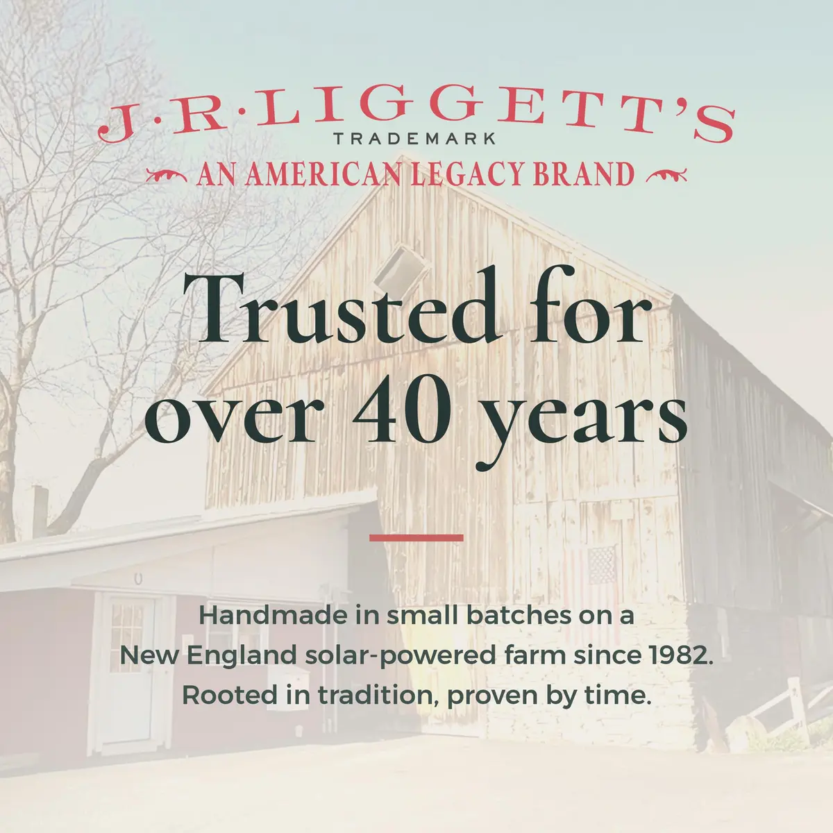 J·R·LIGGETT'S Non-Aerosol Shave Cream for Men and Women 7 oz | Sulfate-Free, Gentle & Hydrating - view 8