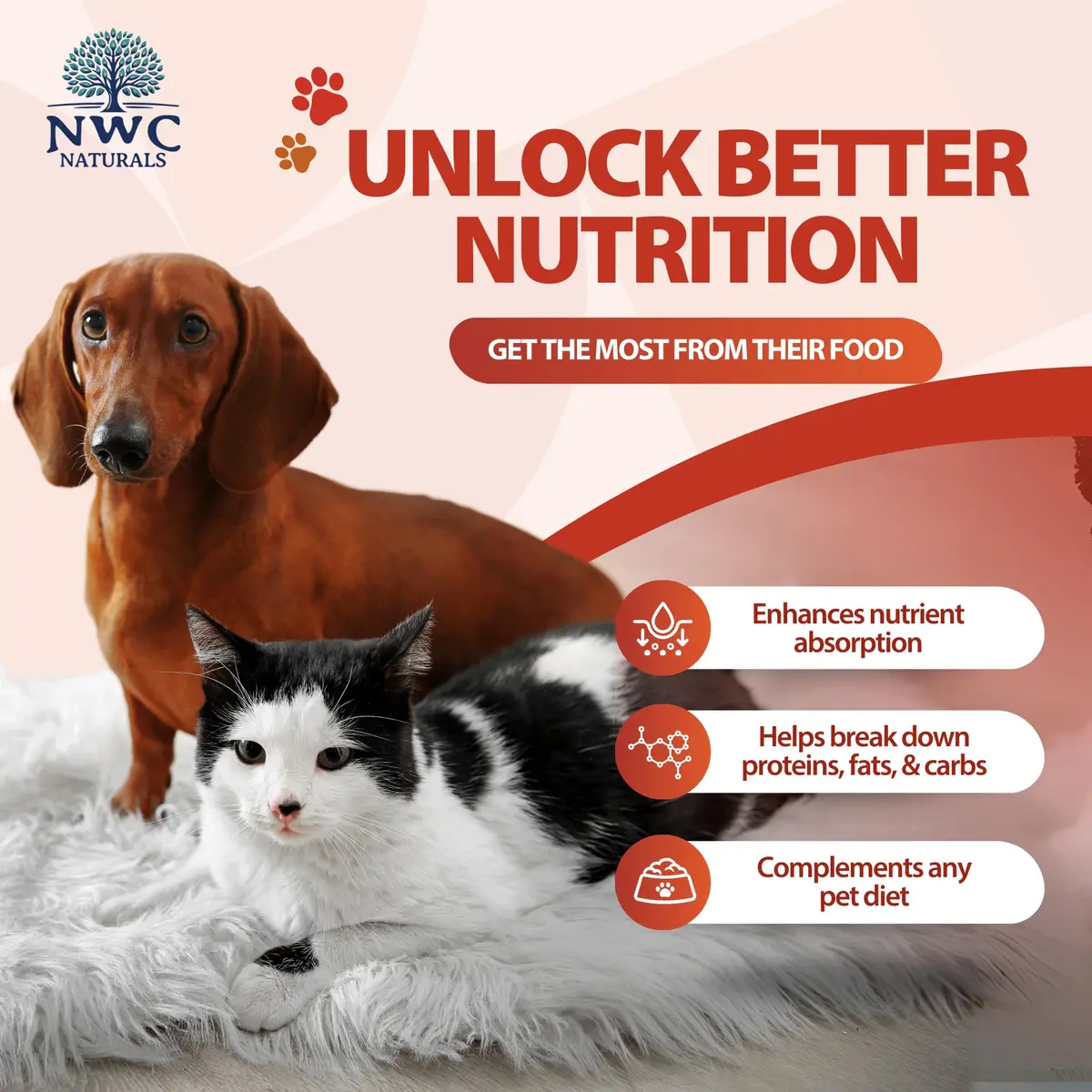 NWC Naturals Total-Zymes Digestive Enzymes for Dogs and Cats 8 oz. Powder | Broad-Spectrum Animal Digestive Support - view 3