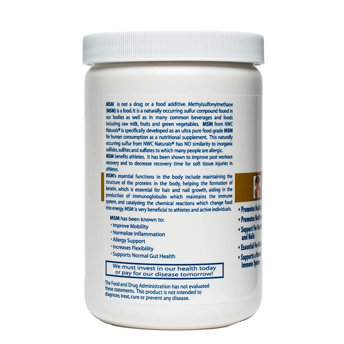 NWC Naturals Ultra-Pure MSM Powder 16 oz | Supports Joint & Mobility in Pets - view 3