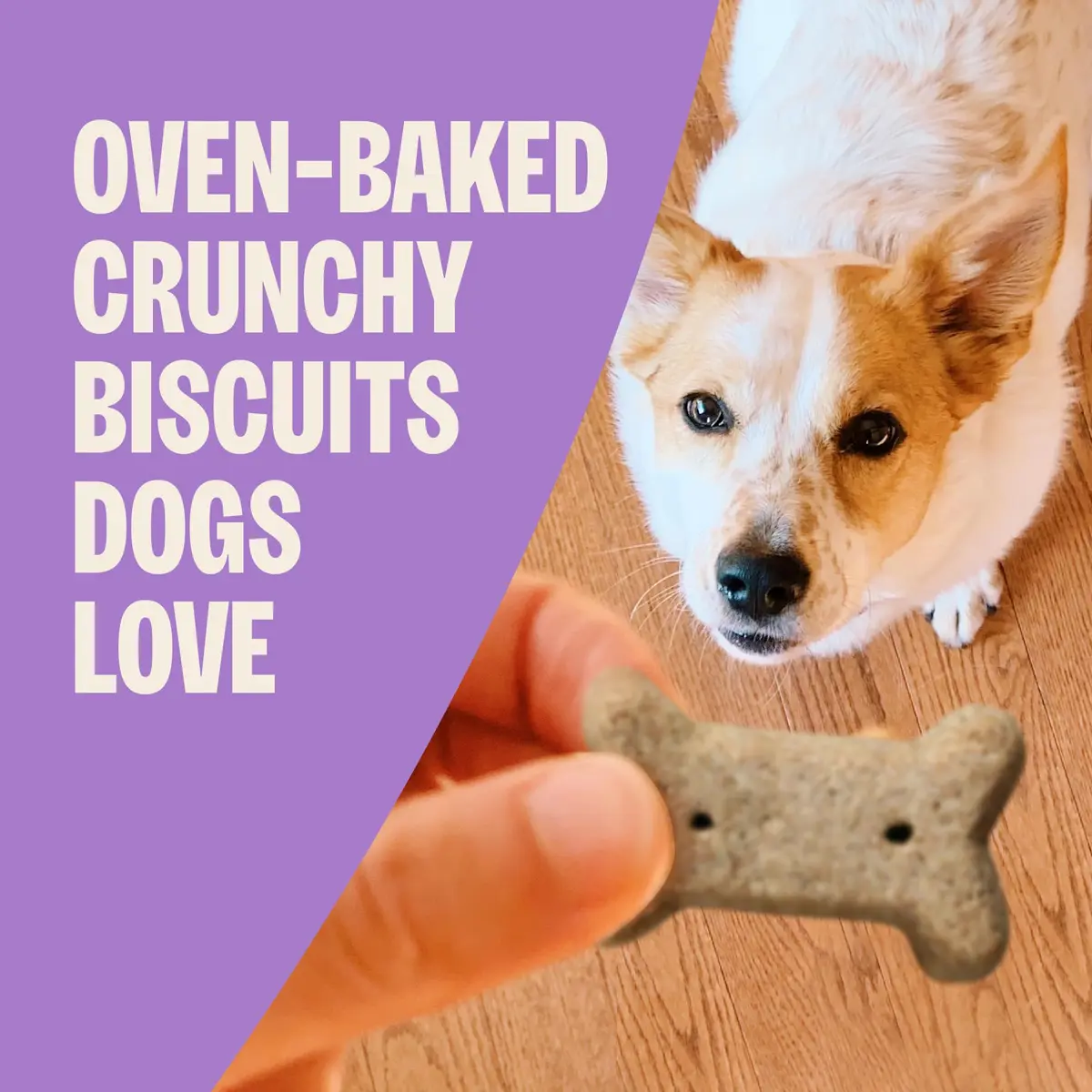 Old Mother Hubbard Classic Original Mix Dog Biscuits | Natural Small Treats, 3.8 lb Bag - view 2