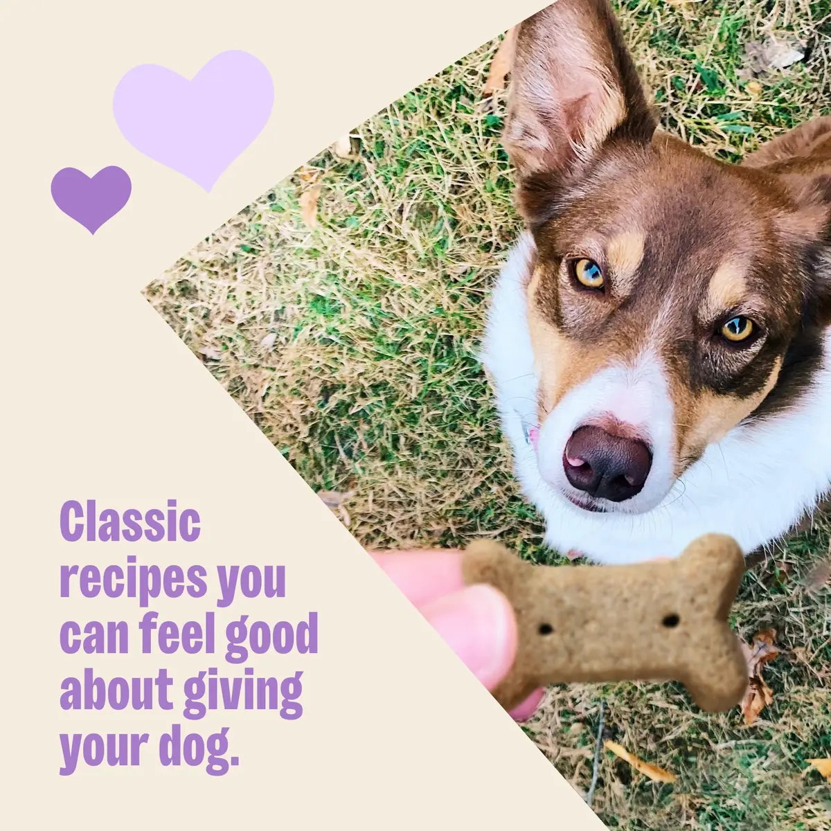 Old Mother Hubbard Classic Original Mix Dog Biscuits | Natural Small Treats, 3.8 lb Bag - view 4