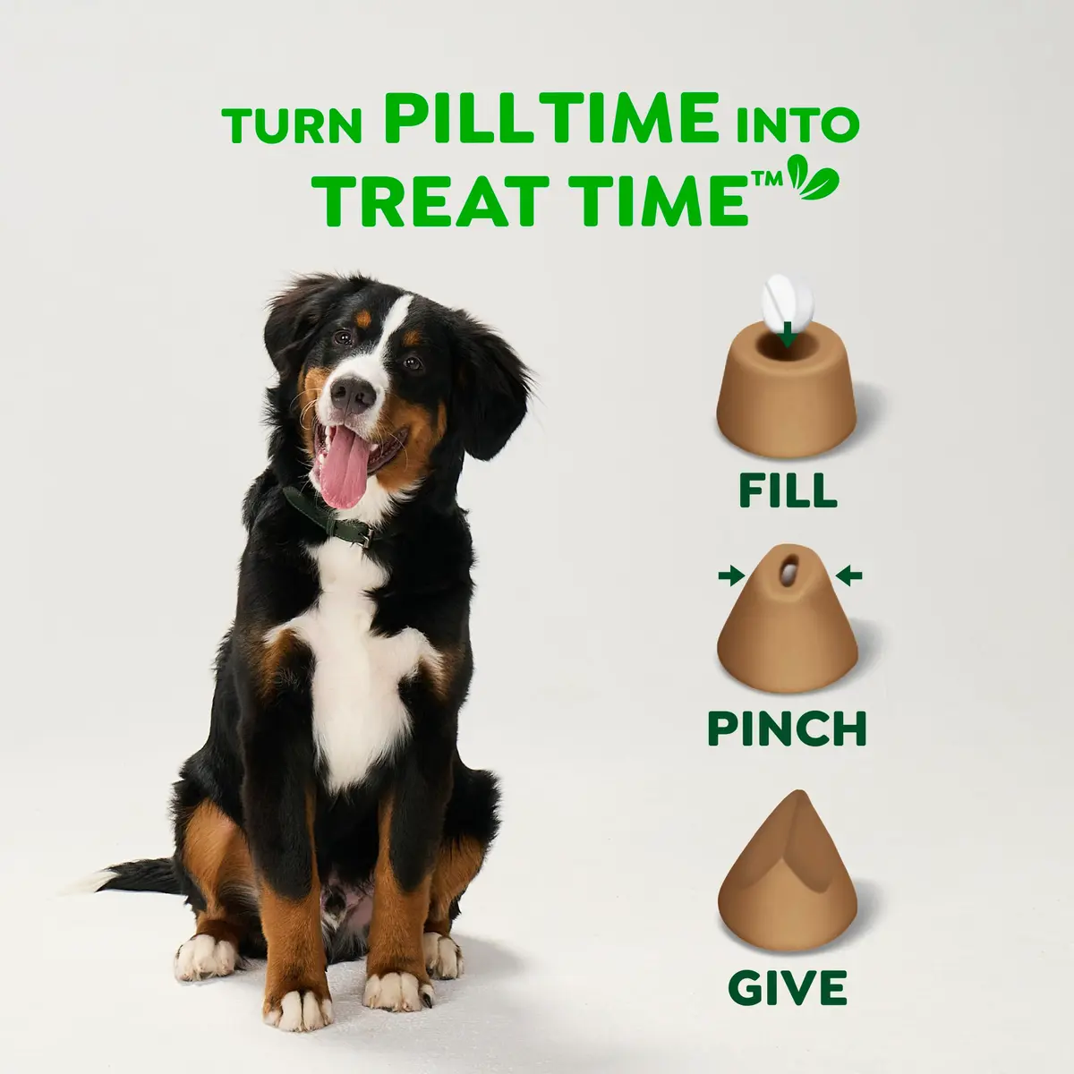 Greenies Pill Pockets Small Dog Treats, Chicken Flavor, 3.2 oz | Vet-Recommended Pill Concealer for Dogs - view 7