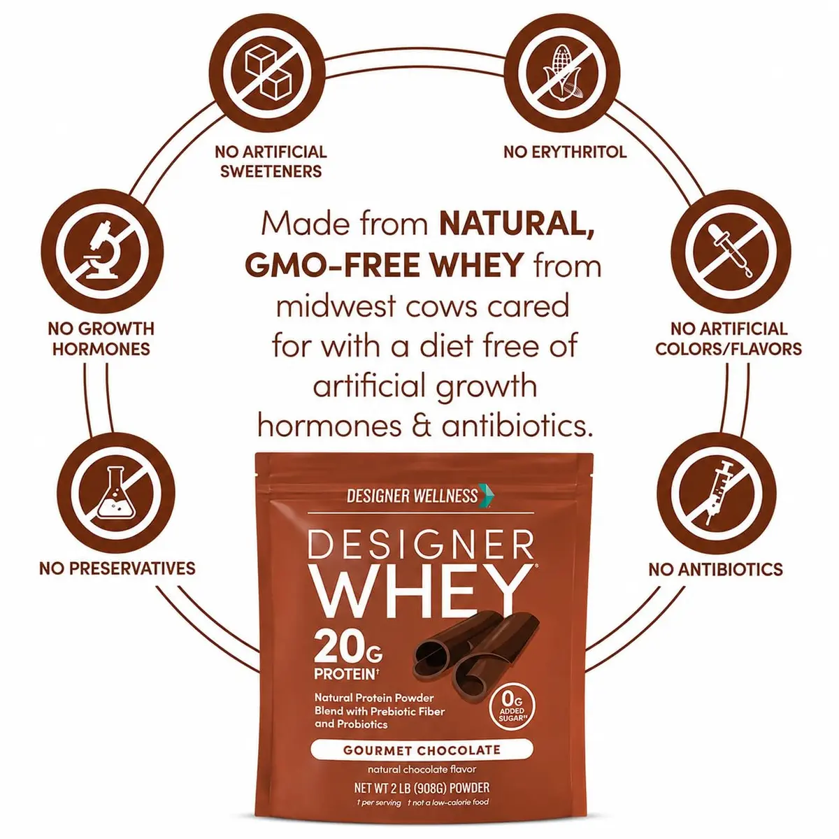 Designer Wellness Chocolate Whey Protein Powder 2 lb | Natural, GMO-Free, Supports Lean Muscle & Recovery - view 4