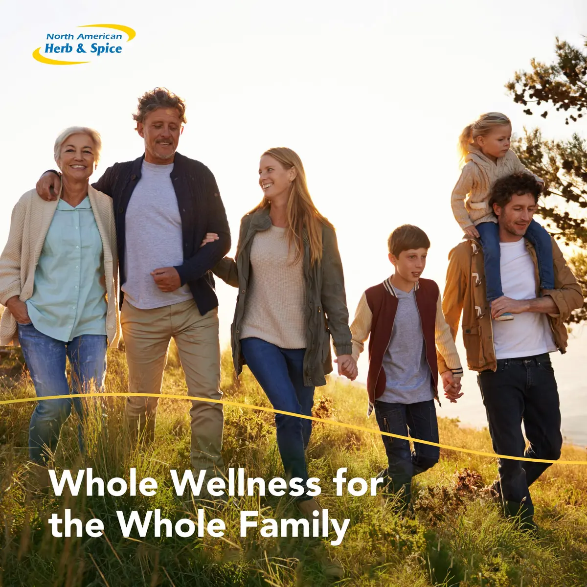 NORTH AMERICAN HERB & SPICE OregaMax 90 Capsules | Wild Oregano Supplement for Immunity & Digestion - view 6