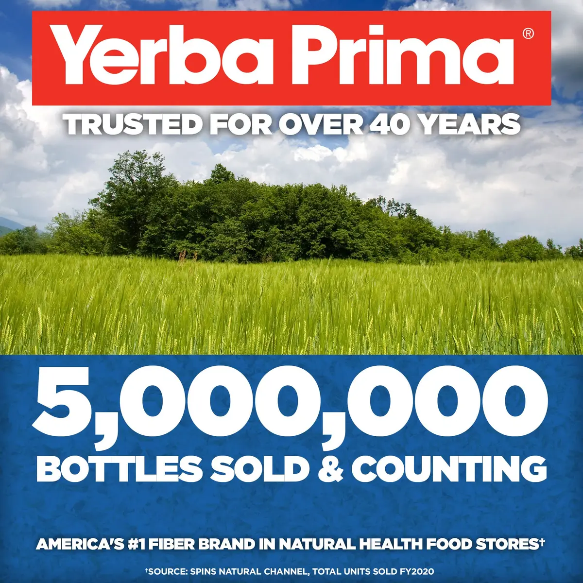 Yerba Prima Daily Fiber Capsules 180 Caps | Soluble & Insoluble Dietary Fiber for Gut Health - view 6