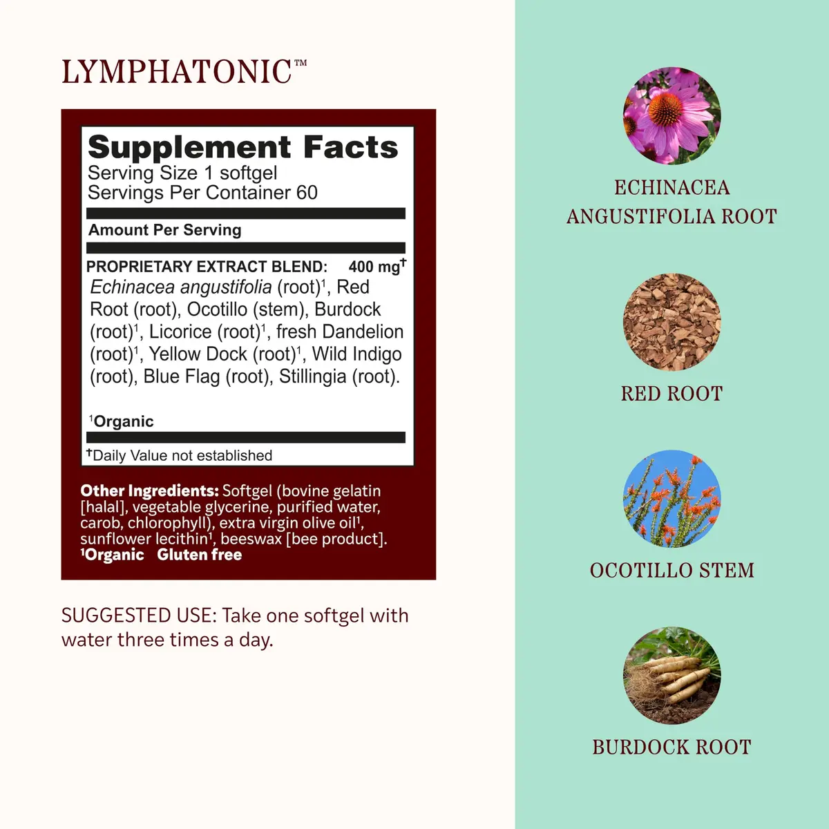 Herbs Etc. Lymphatonic Sg, 60 CT | Herbal Support for Lymph Circulation & Detox - view 4