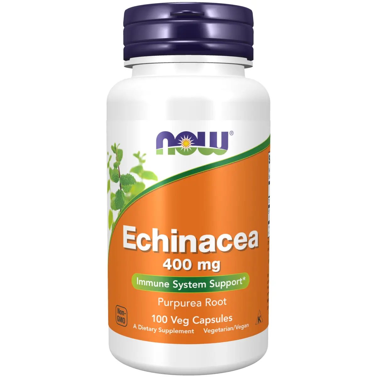 NOW Supplements Echinacea 400 mg | Immune Support, 100 Veg Caps, USA Import - main product image