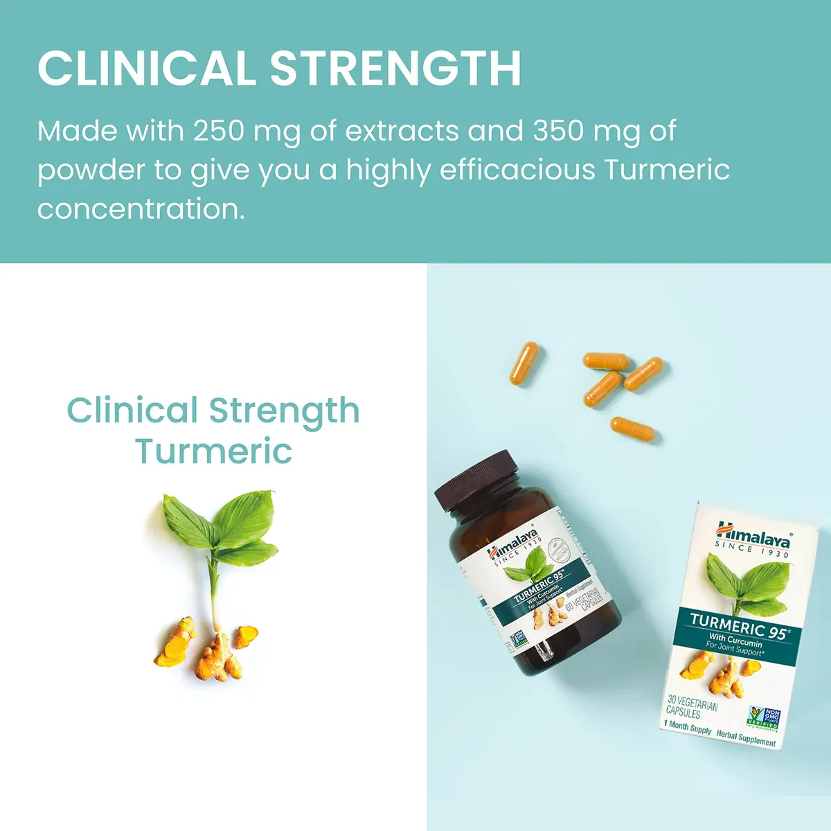 Himalaya Turmeric 95 Curcumin Supplement, 600 mg | Supports Joint Flexibility & Inflammation - view 3