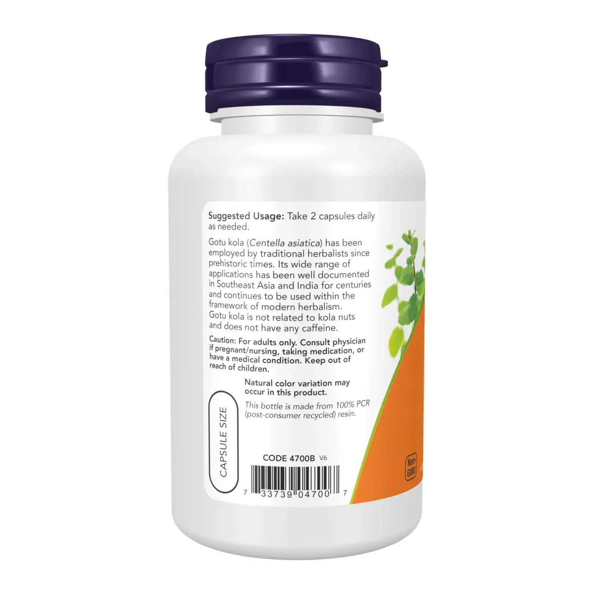 NOW Foods Gotu Kola Herbal Supplement 450 mg 100 Veg Capsules | Supports Focus & Memory - view 3