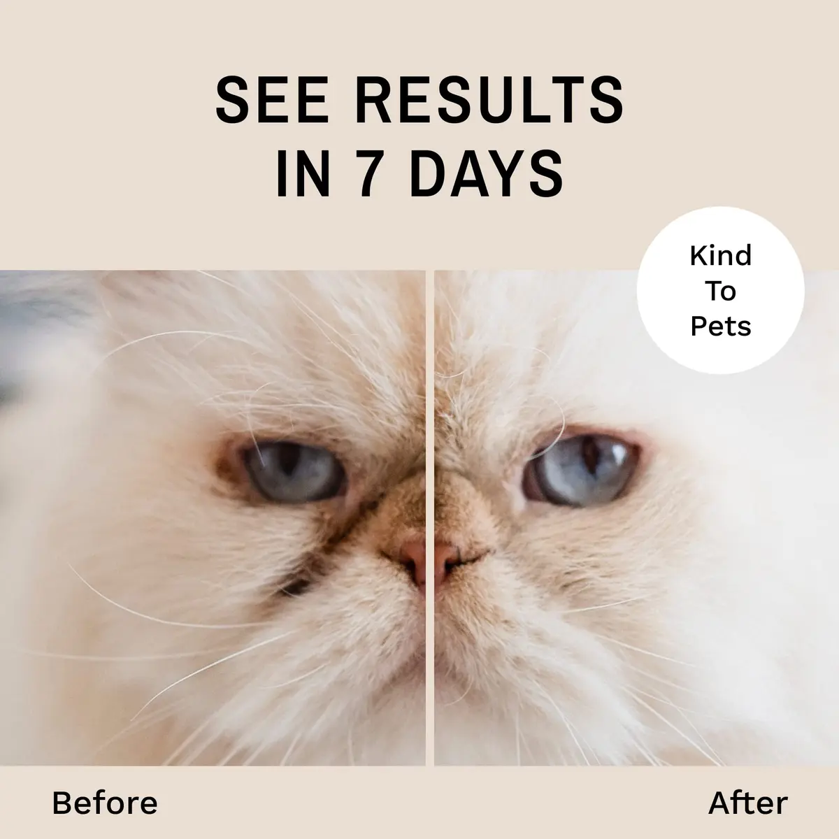 Eye Envy Tear Stain Remover Powder for Dogs and Cats 0.5 oz (14.17 g) | Natural, Safe Formula for Stain-Free Eyes - view 3