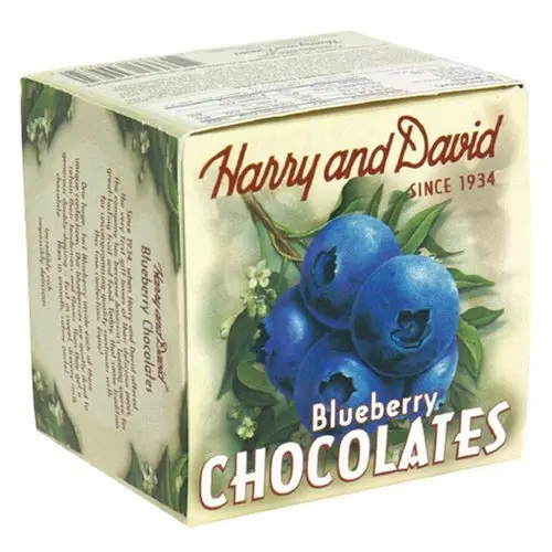 Harry & David Milk Chocolate Blueberries 8-Ounce | Sweet Blueberry & Milk Chocolate Ball - main product image