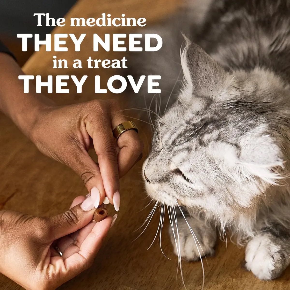Greenies Feline Pill Pockets Soft Cat Treats, Chicken Flavor, 45 Count | Vet-Recommended Pill Hiding Treat - view 7