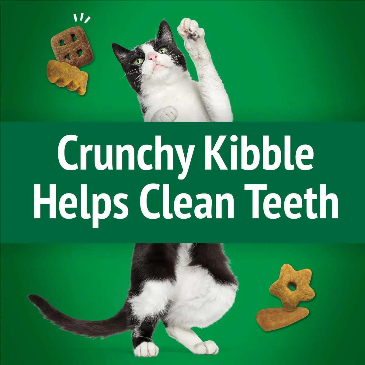 Friskies Purina Party Mix Picnic Crunch Cat Treats 2.1 oz (10 Pack) | Crunchy, Real Chicken & Flavorful - view 5