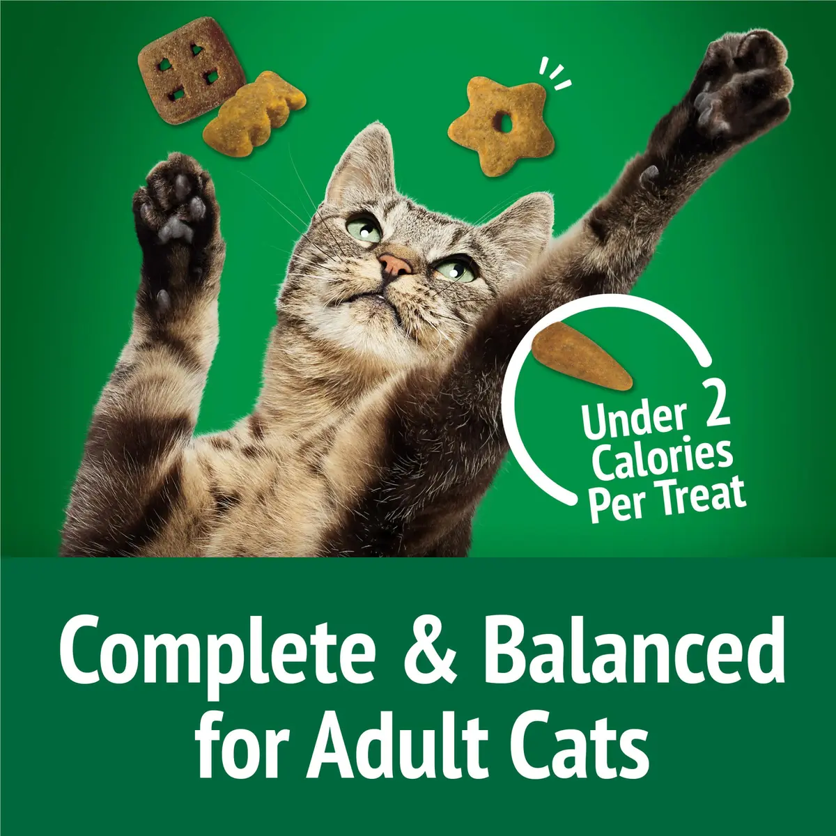 Friskies Purina Party Mix Picnic Crunch Cat Treats 2.1 oz (10 Pack) | Crunchy, Real Chicken & Flavorful - view 8