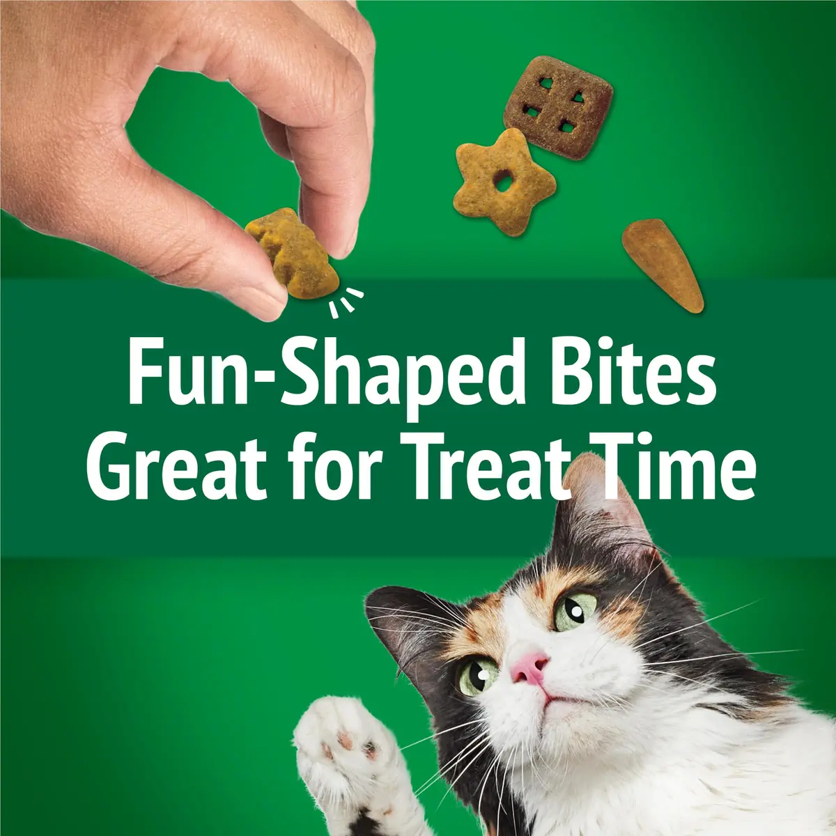 Friskies Purina Party Mix Picnic Crunch Cat Treats 2.1 oz (10 Pack) | Crunchy, Real Chicken & Flavorful - view 9