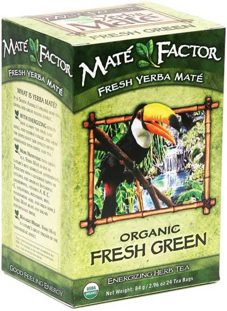 Maté Factor Yerba Mate Energizing Herb Tea Bags Green 24-Count Pack of 3 | Organic Fresh - main product image
