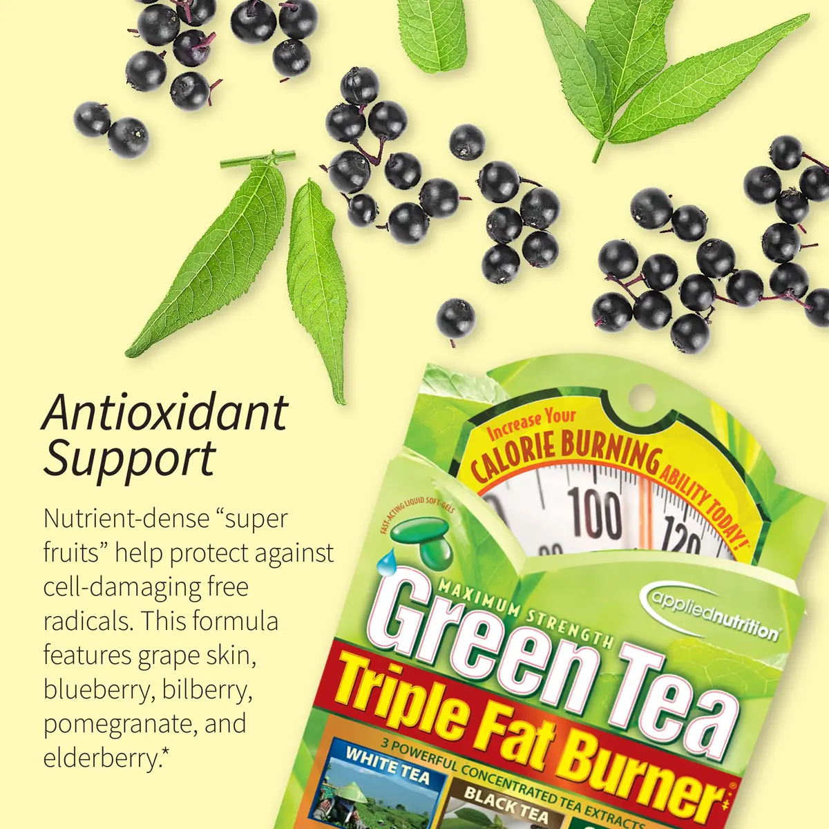 Applied Nutrition Green Tea Fat Burner Metabolism Support 30 Count | Liquid Soft-Gels for Energy & Fat Oxidation - view 4