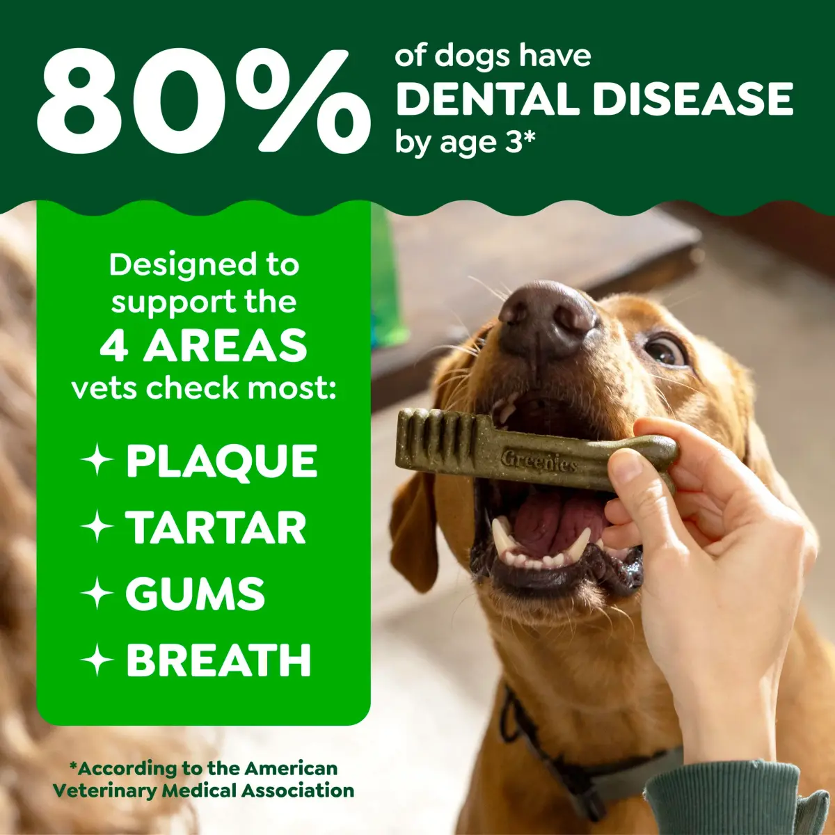 Greenies Teenie Original Natural Dental Dog Treats, Chicken, 96 Count (27 oz / 0.77 kg) | Veterinarian-Recommended for Small Dogs 5-15 lbs - view 3