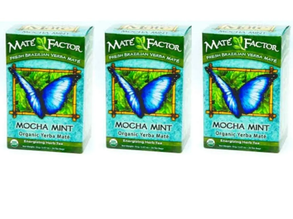 Maté Factor Yerba Mate Mocha Mint Tea | Organic, Energizing, 20 Tea Bags (Pack of 3) - main product image