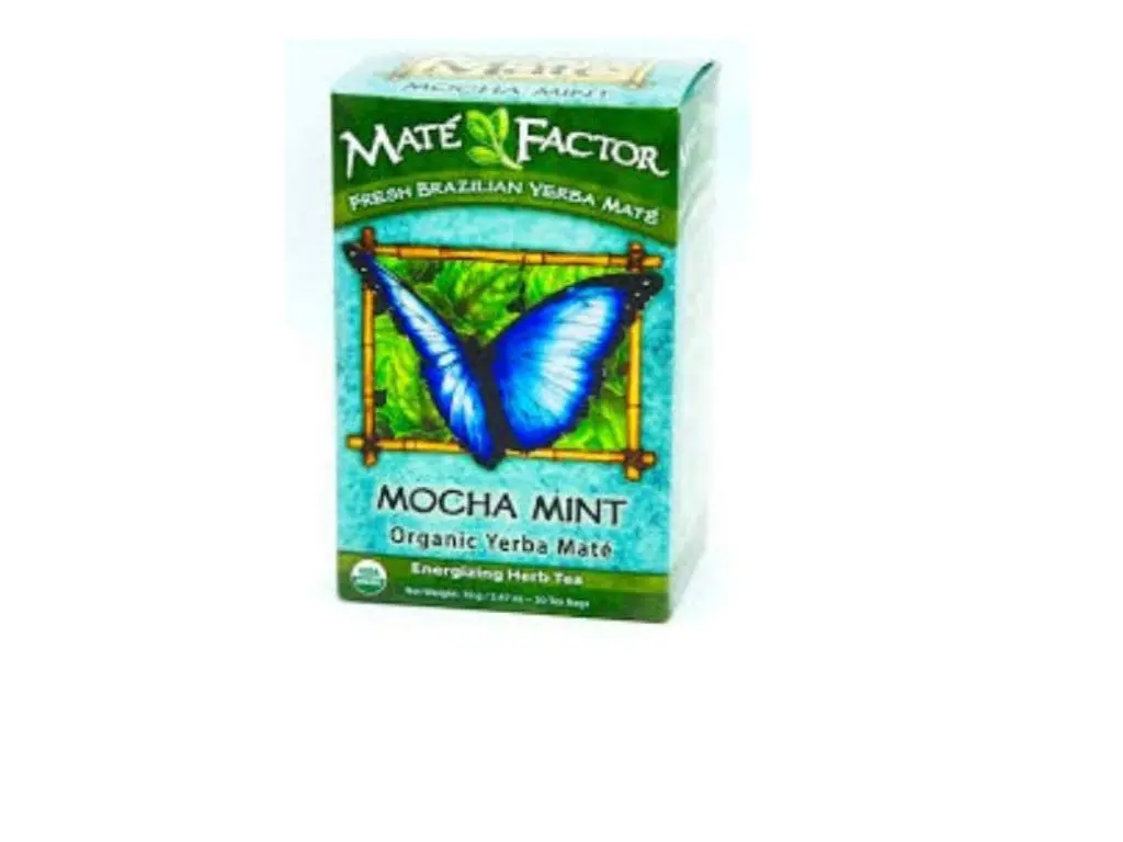 Maté Factor Yerba Mate Mocha Mint Tea | Organic, Energizing, 20 Tea Bags (Pack of 3) - view 2