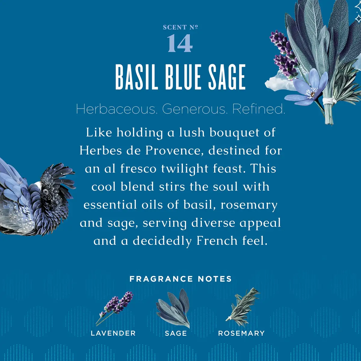 Caldrea Multi-Surface Countertop Spray Cleaner Basil Blue Sage 473ml (16 Fl Oz) | Plant-Based Odor Eliminator - view 2