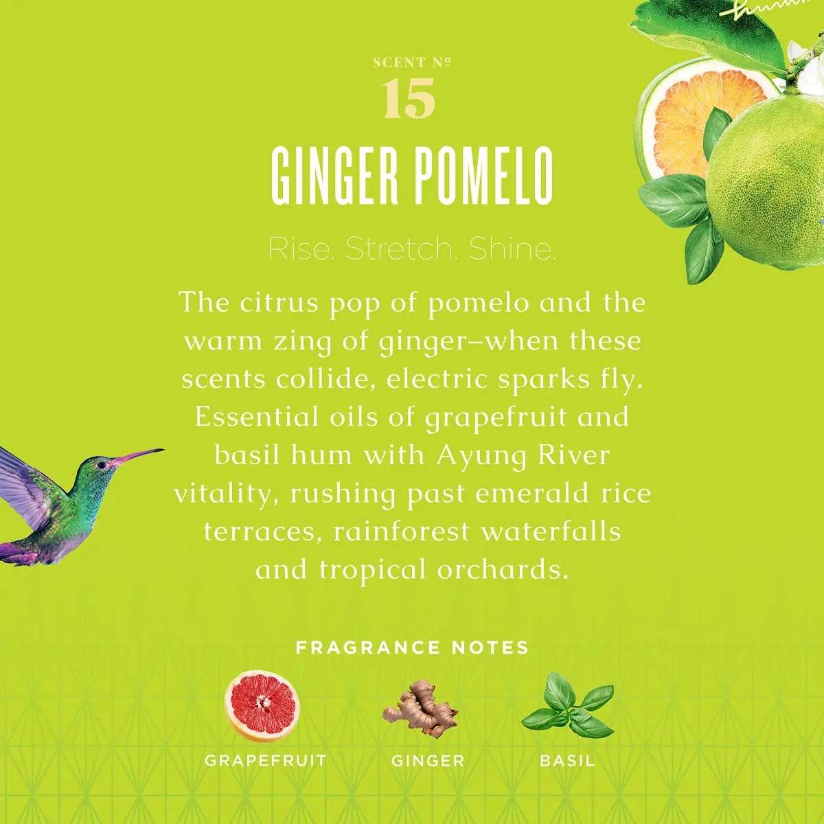 Caldrea Multi-surface Countertop Spray Cleaner Ginger Pomelo Scent 473ml (16 Fl Oz) | Plant-Based Odor Eliminator - view 2