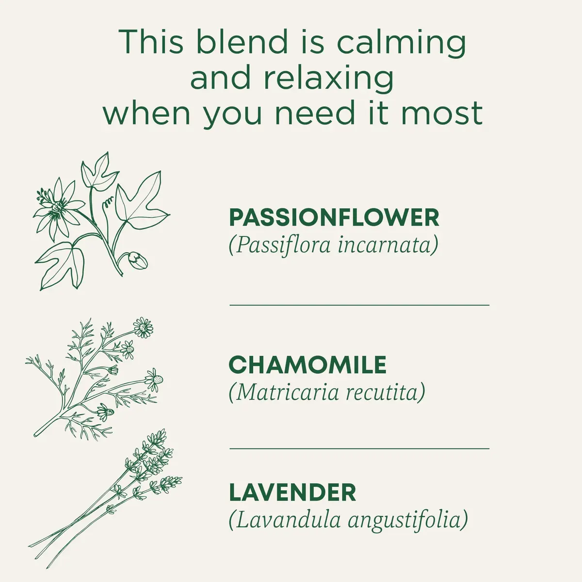 Traditional Medicinals Organic Cup of Calm Chamomile Mint Tea 16 Tea Bags | Calming & Digestive Support - view 2