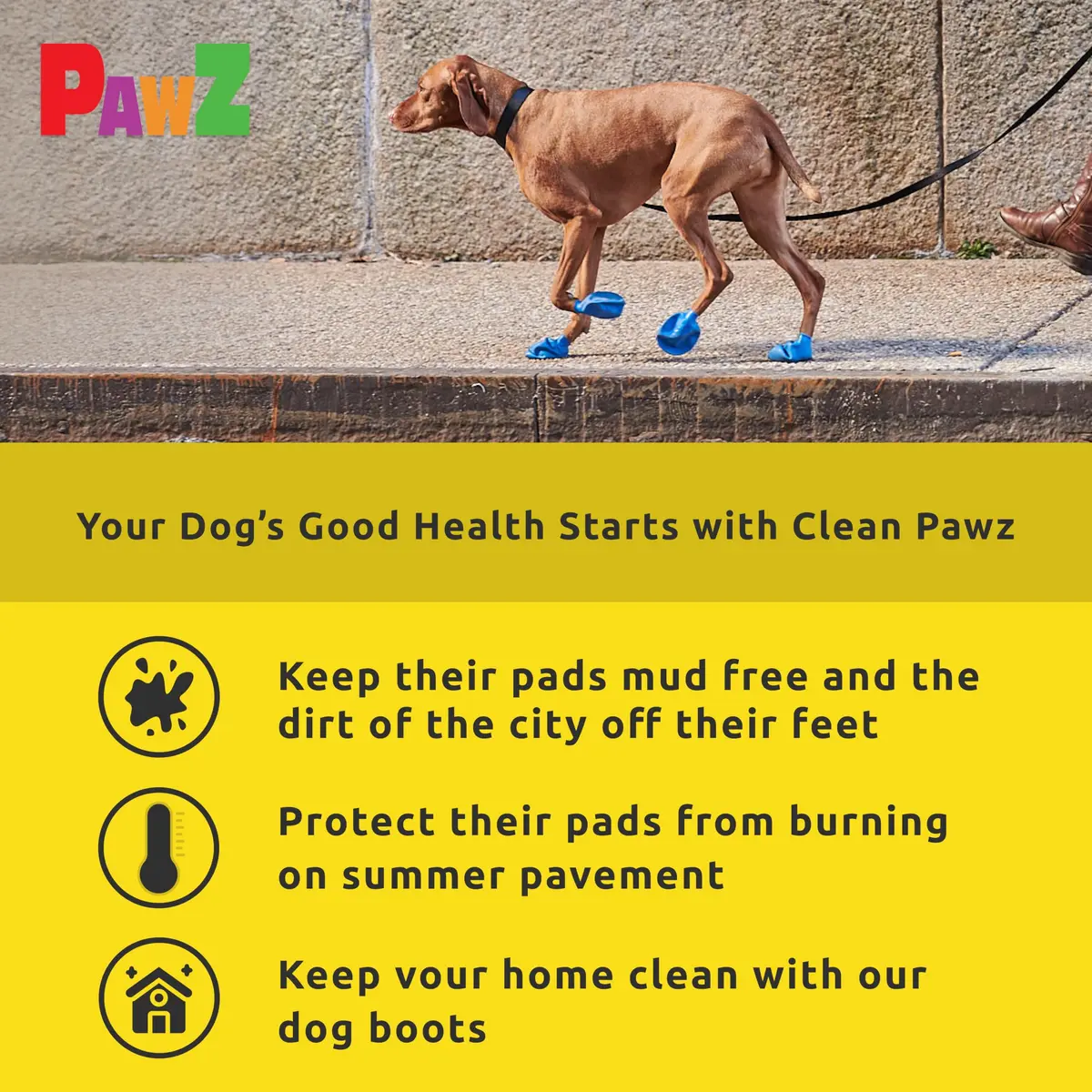 Protex PawZ Rubber Dog Boots for Small Paws | All-Weather Waterproof, Anti-Slip, XX-Small (1"-1.5") Pack of 12 - view 5