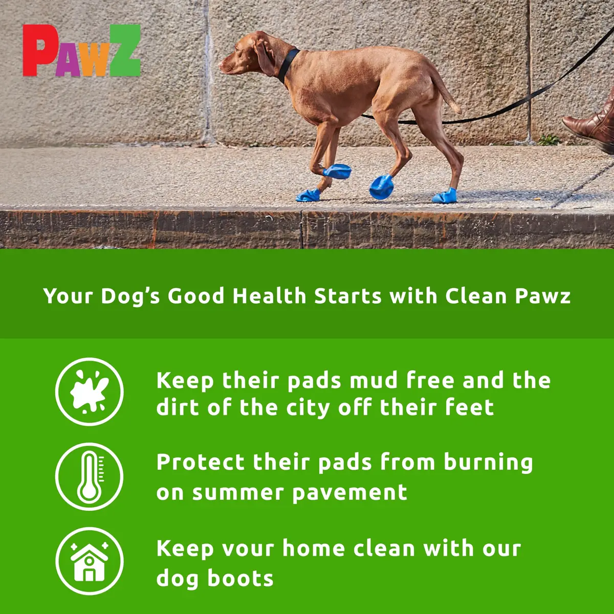 PawZ Rubber Dog Boots - Waterproof Non-Slip Dog Shoes for Hot Pavement, Tiny Size (12-Pack) - view 5