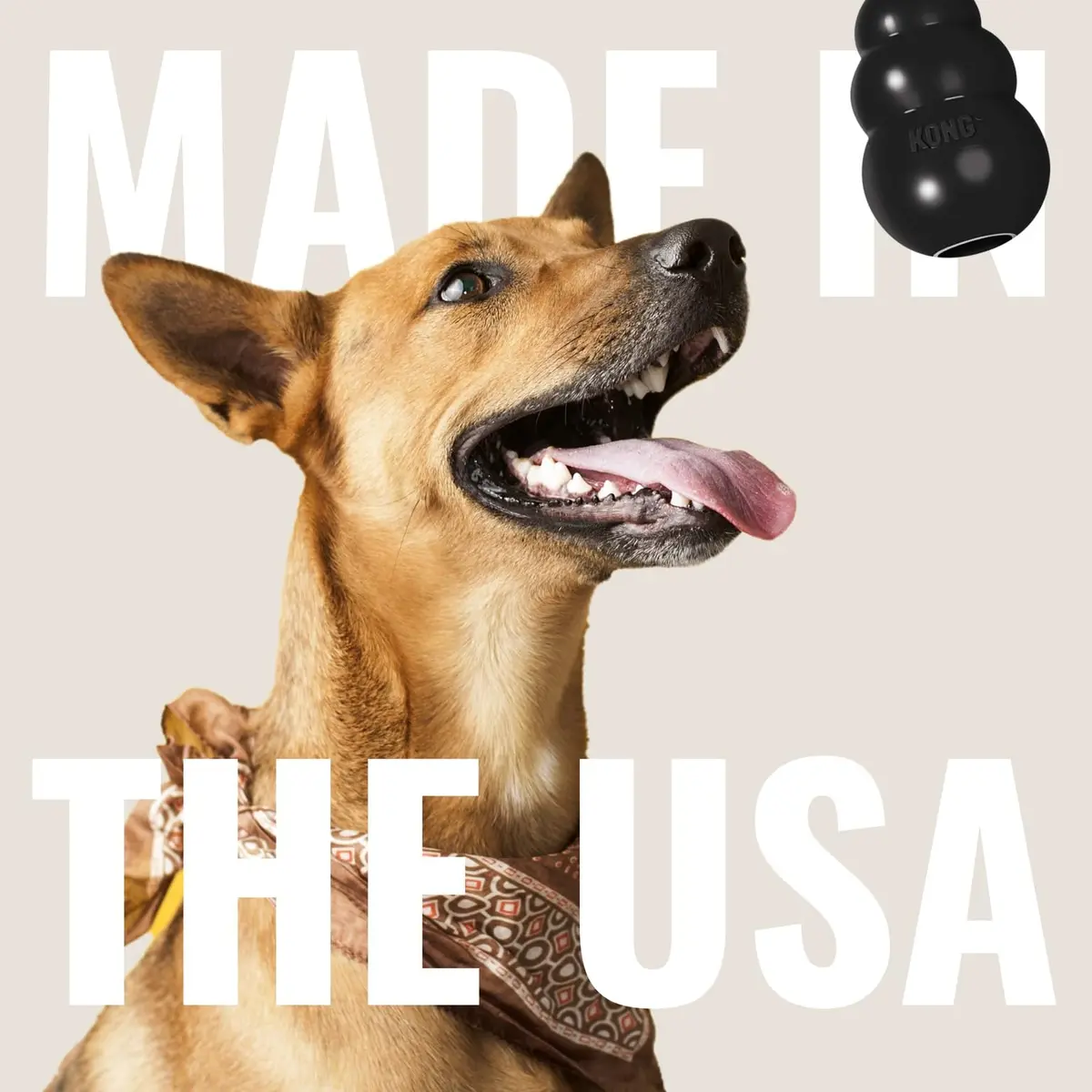 KONG Extreme Dog Toy, Durable Natural Rubber Chew, for Small Dogs | Unmatched Strength & Engagement - view 7