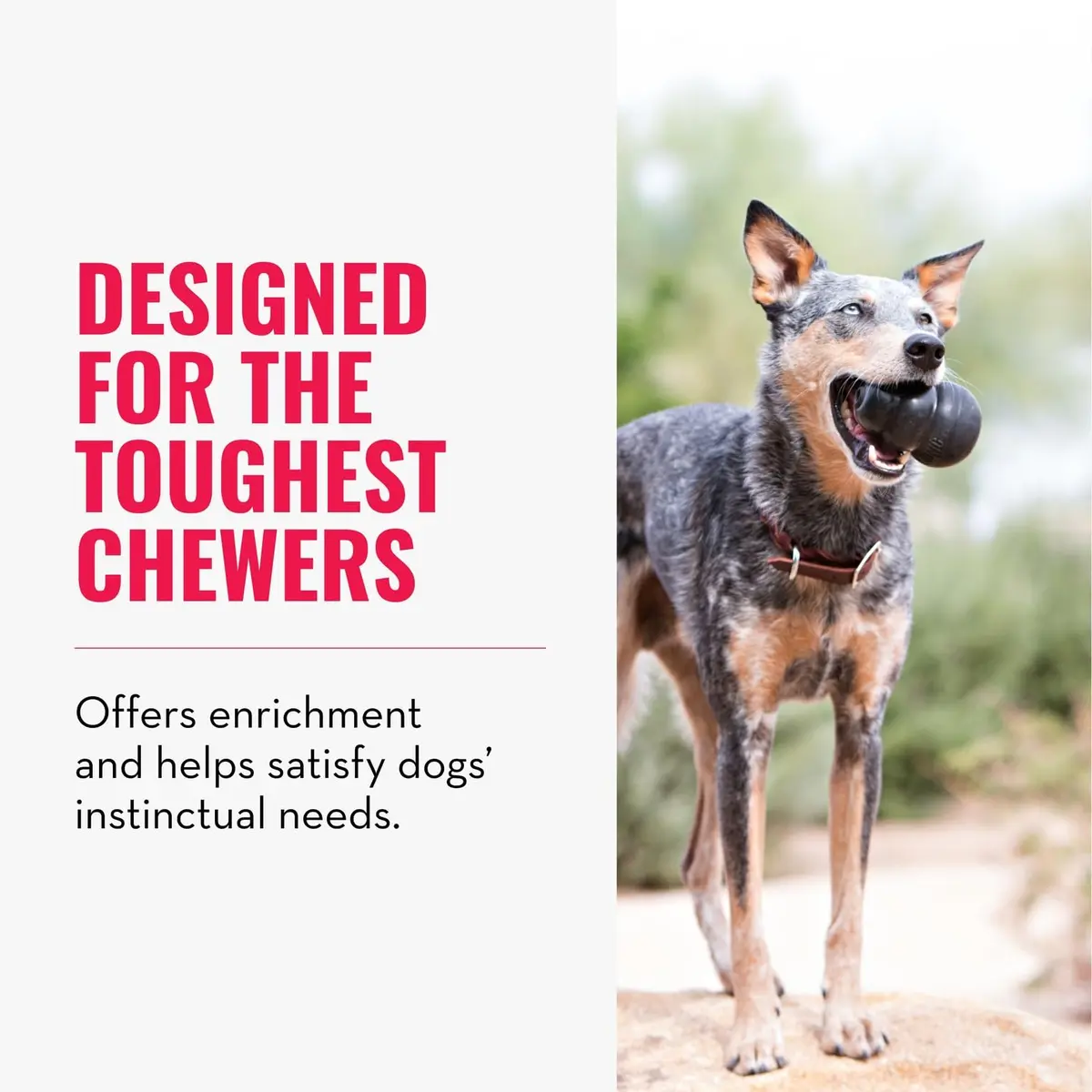 KONG Extreme Dog Toy, Durable Natural Rubber Chew, for Small Dogs | Unmatched Strength & Engagement - view 3