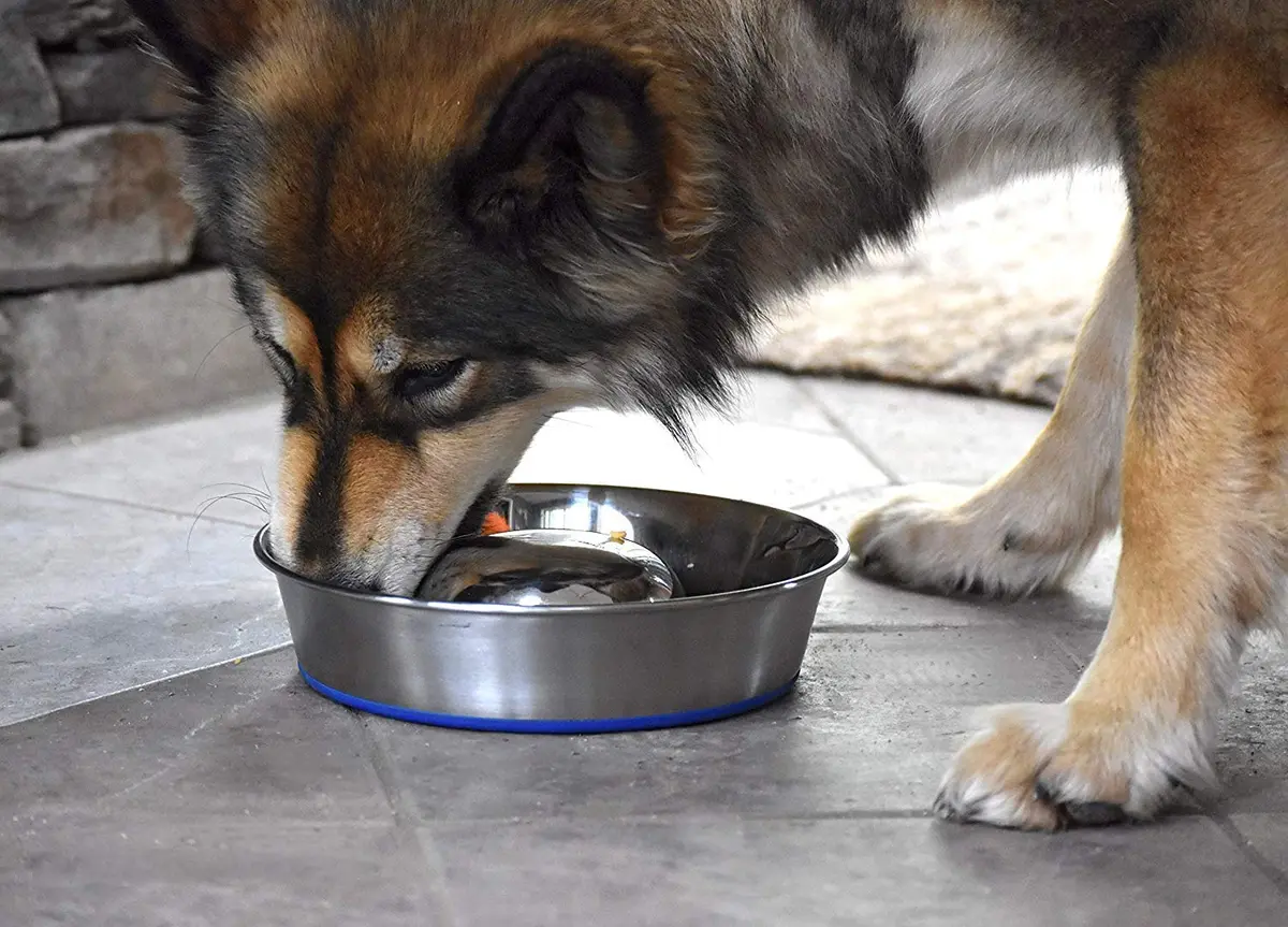 OurPets DuraPet Slow Feed Premium Stainless Steel Bowl (Heavyweight Durable Stainless Steel Bowls, Dog Food Bowl, and Dog Water Bowl) Great Alternative to Snuffle Mat for Dogs-Medium - view 5