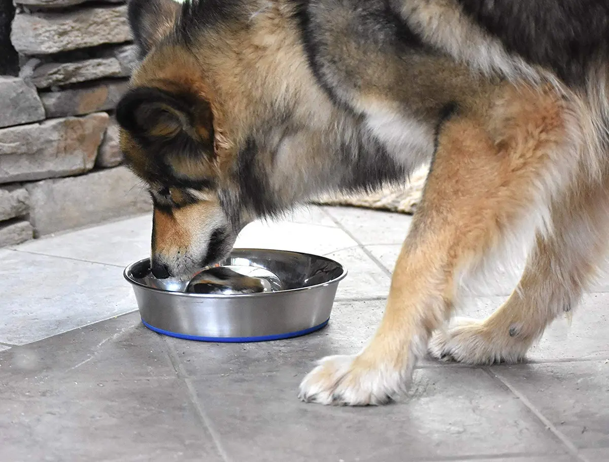 OurPets DuraPet Slow Feed Premium Stainless Steel Bowl (Heavyweight Durable Stainless Steel Bowls, Dog Food Bowl, and Dog Water Bowl) Great Alternative to Snuffle Mat for Dogs-Medium - view 6