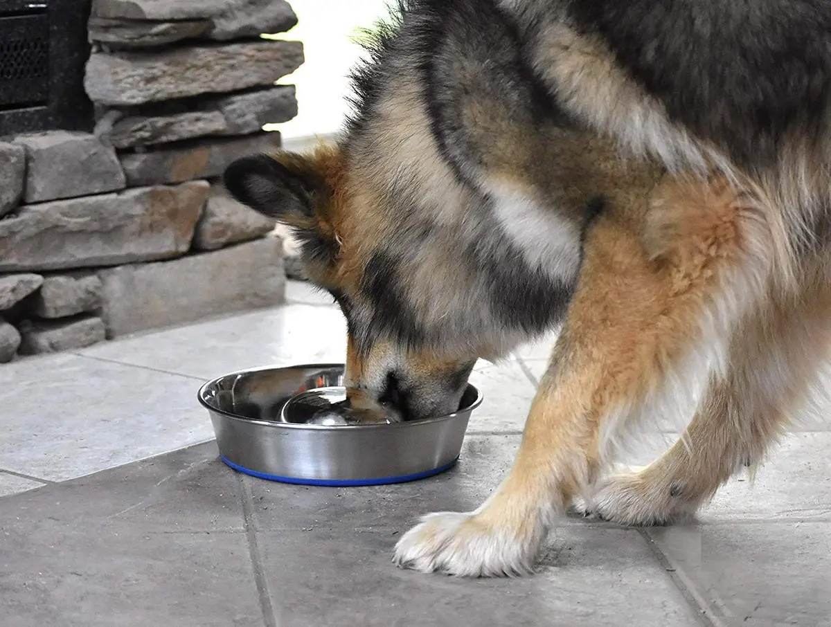 OurPets DuraPet Slow Feed Premium Stainless Steel Bowl (Heavyweight Durable Stainless Steel Bowls, Dog Food Bowl, and Dog Water Bowl) Great Alternative to Snuffle Mat for Dogs-Medium - view 7
