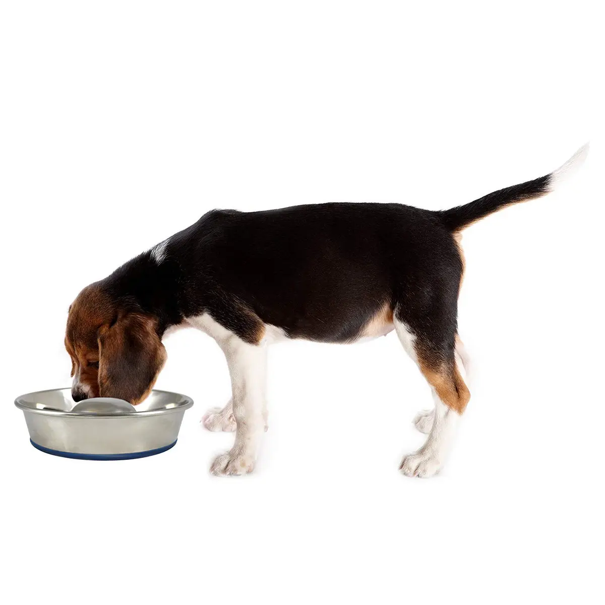OurPets DuraPet Slow Feed Premium Stainless Steel Bowl (Heavyweight Durable Stainless Steel Bowls, Dog Food Bowl, and Dog Water Bowl) Great Alternative to Snuffle Mat for Dogs-Medium - view 2