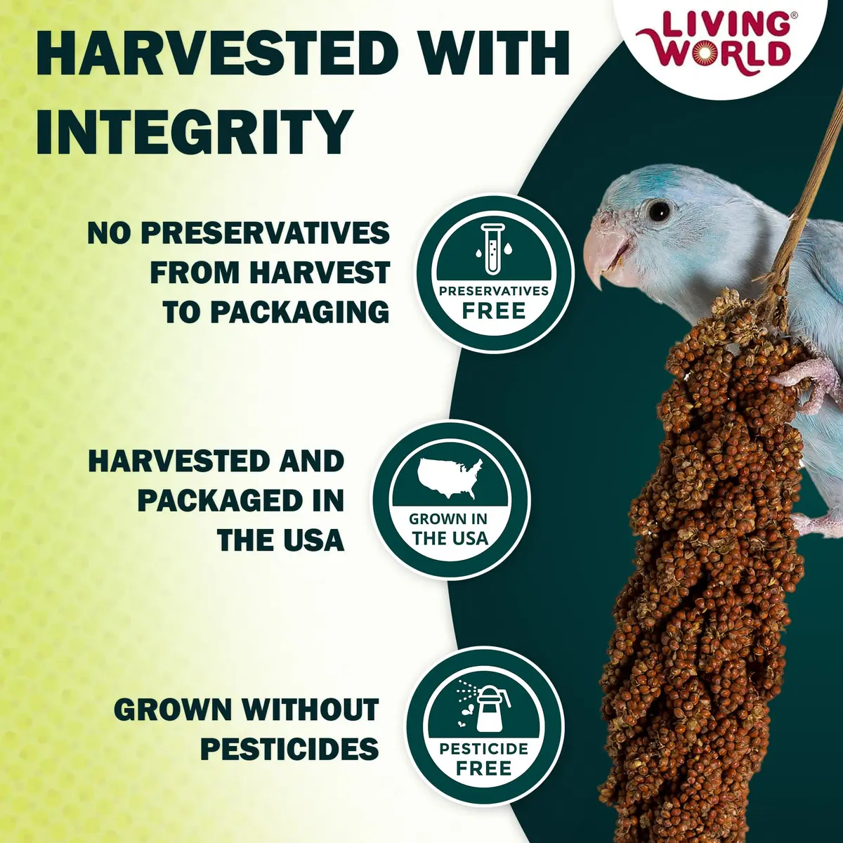 Living World Millet Spray for Birds 5 Pounds | Natural, Fresh & Nutritious Bird Treat - view 3