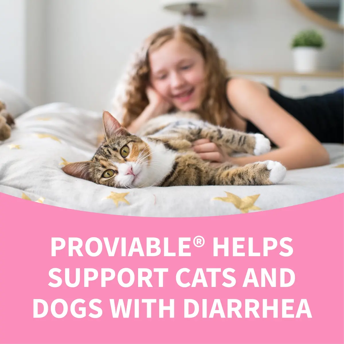 Nutramax Proviable Probiotics + Prebiotics for Dogs & Cats, Capsules, 80ct | Supports Gut Balance & Digestive Health - view 8