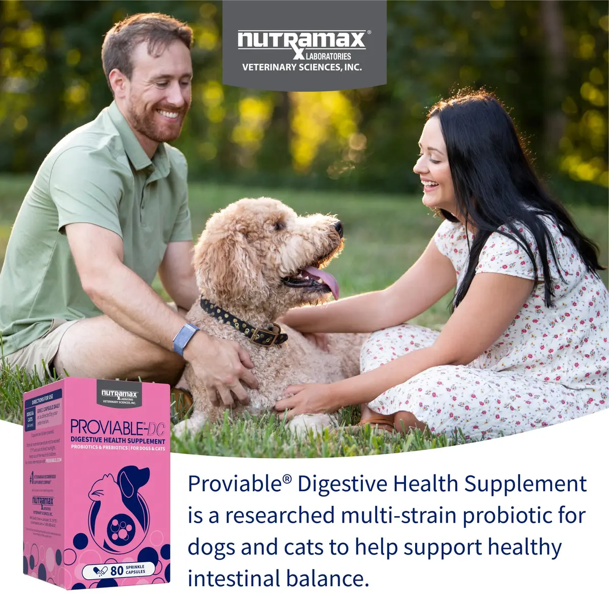 Nutramax Proviable Probiotics + Prebiotics for Dogs & Cats, Capsules, 80ct | Supports Gut Balance & Digestive Health - view 3