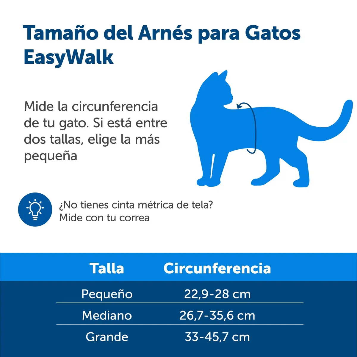 PetSafe Come With Me Kitty Harness and Bungee Leash, Medium, Black/Silver | Safe Outdoor Walks for Cats - view 7