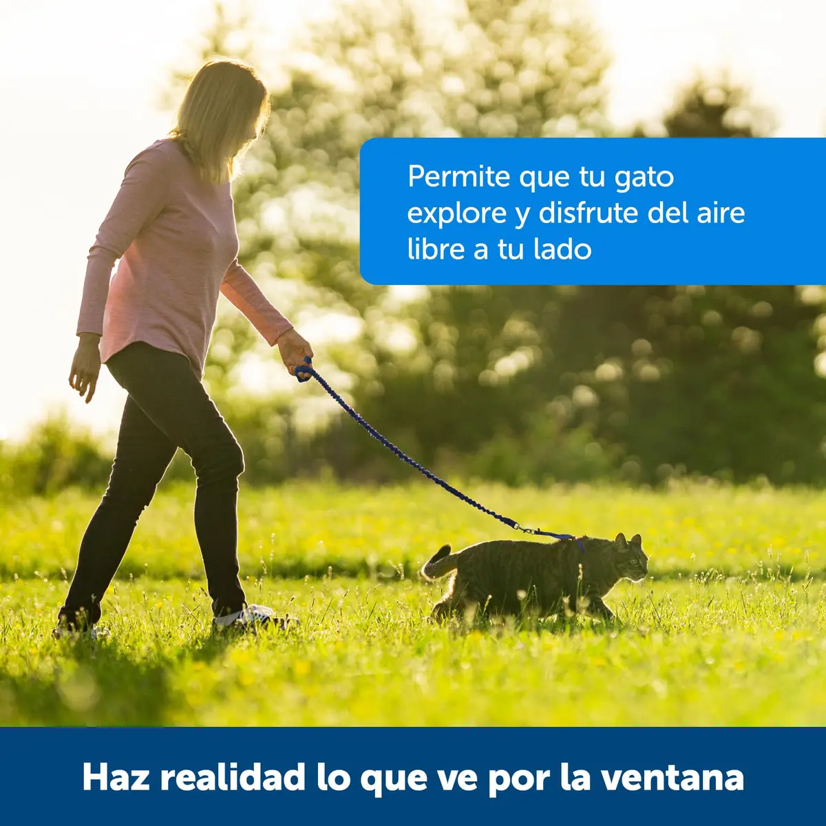 PetSafe Come With Me Kitty Harness and Bungee Leash, Medium, Black/Silver | Safe Outdoor Walks for Cats - view 3